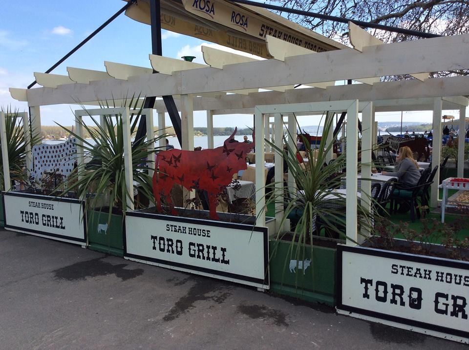 Toro Grill 4